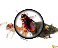 Unique Pest Management - Image 2