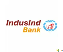 Finance executive job in Indusind bank - Image 1