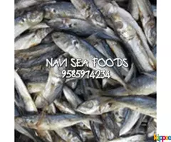 Sea Fish Wholesale From Rameswaram - Image 2