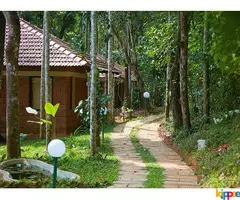 Raindrops Resorts Wayanad, Kerala - Image 2