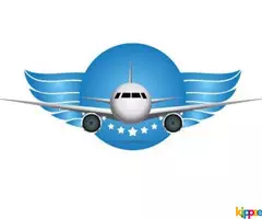 50% Discount airline cheap ticket - affordable airline ticket - Image 2