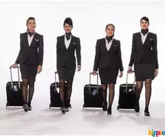 Indian Airlines hiring staff. Need fresher - Image 3