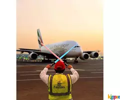 Indian Airlines needs fresher from east India for its ground staff - Image 1