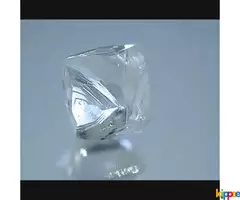 Rough Diamond in Best price - Image 1