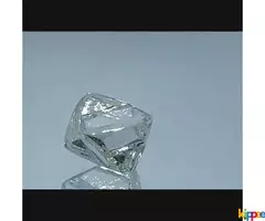 Rough Diamond in Best price - Image 2