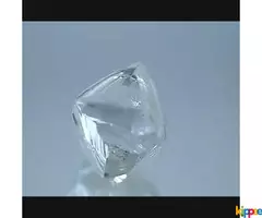 Rough Diamond in Best price - Image 4
