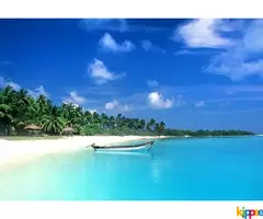 Goa tour packages - Image 3