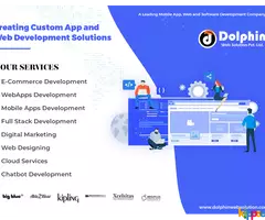 Web design & development services - Dolphin Web Solution - Image 1