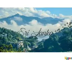 Sri Lanka tour package - Image 1