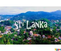 Sri Lanka tour package - Image 2