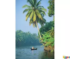Kerala Tour Package 6N 7D - Image 3