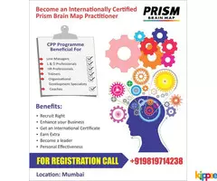 Prism Brain Mapping | Psychometric tool for Brain Mapping in India - Image 3