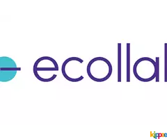 Reduce Cost With Help Of eCatalogs - Image 2