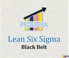 Lean Six Sigma Green - Black Belt in Delhi NCR - Image 1