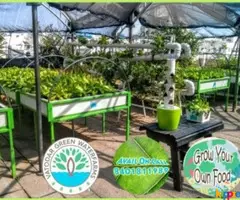 Hydroponics and Aquaponics System to Grow your own food - Image 2