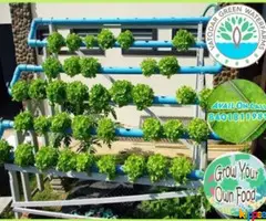 Hydroponics and Aquaponics System to Grow your own food - Image 3