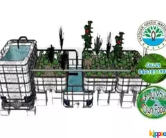 Hydroponics and Aquaponics System to Grow your own food - Image 4