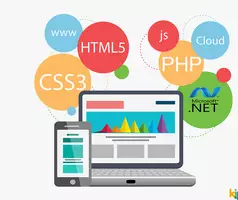 Web Designing Service in Ambala, Haryana - Image 3