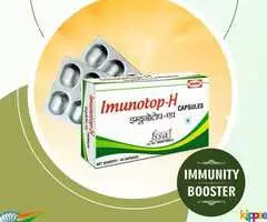 Immunity booster Ayurvedic remedies recommended by experts - Image 4