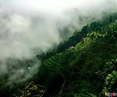 Darjeeling & Gangtok 4Nights 5Days - Image 3