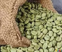 Green Coffee Beans for Weight Loss - Image 1