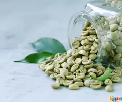 Green Coffee Beans for Weight Loss - Image 2