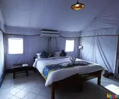 Tadoba accommodation - Bodhivann Jungle Camp - Image 3
