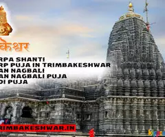 What are the Benefits of Kalsarpa Shanti Pooja ? How To Perform? | Trimbakeshwar.in
