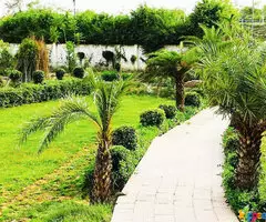 Harit Home Plot at Affordable price in Greater Noida