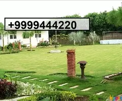 Beautiful Farm House For Sale In Noida Expressway - Image 3