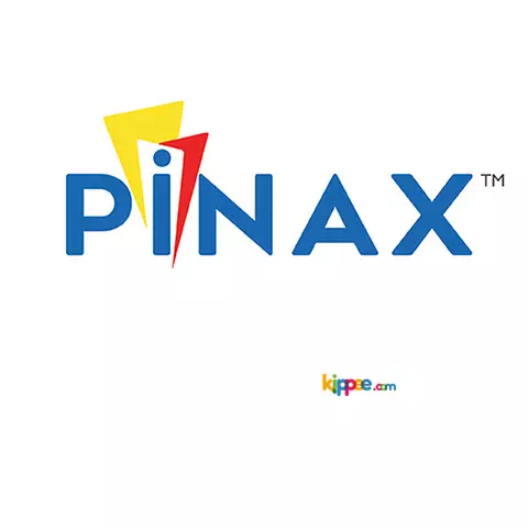 Pinax - Excelling as PEB Manufacturers - 1