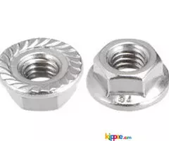 Flange Nuts | Serrated Nuts | Flange Nuts Manufacturers