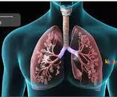 Causes responsible for chronic obstructive pulmonary disease: