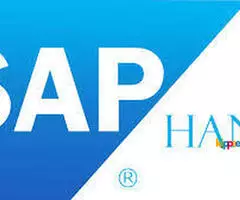 Best SAP HANA Online Training | SAP HANA Certification Training Course