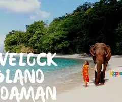 Andaman Tour Package 2N Port Blair, 2N Havelock, 1N Neil Island starting from 42000/- - Image 4