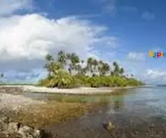 Panoramic Island Trip 5 Nights 6Days Andman package 43,000/- - Image 4