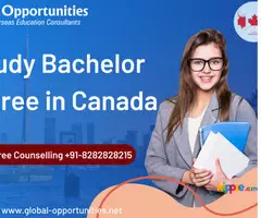 Study in Bachelor Degree in Canada After 12th