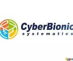 CyberBionic Systematics is an information technology training center.