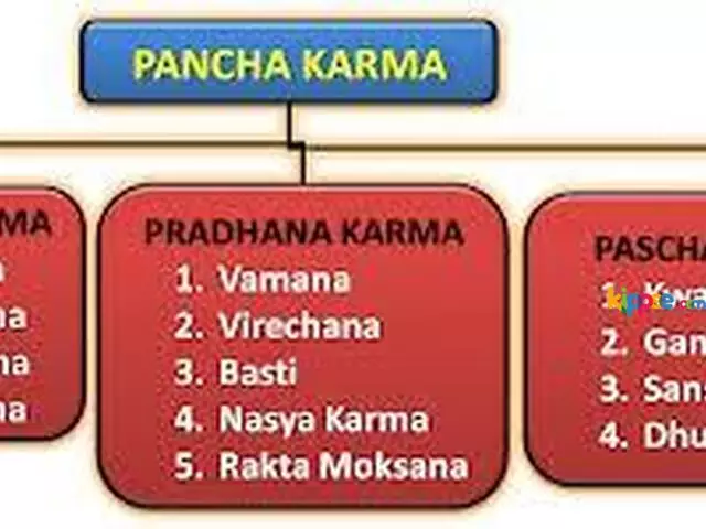 Best Panchkarma Center in Una - 1