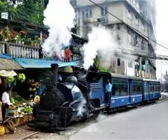 Darjeeling & Gangtok 4Nights 5Days - Image 3