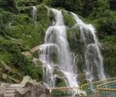 Darjeeling & Gangtok  4Nights 5 Days starting 17000/- - Image 2