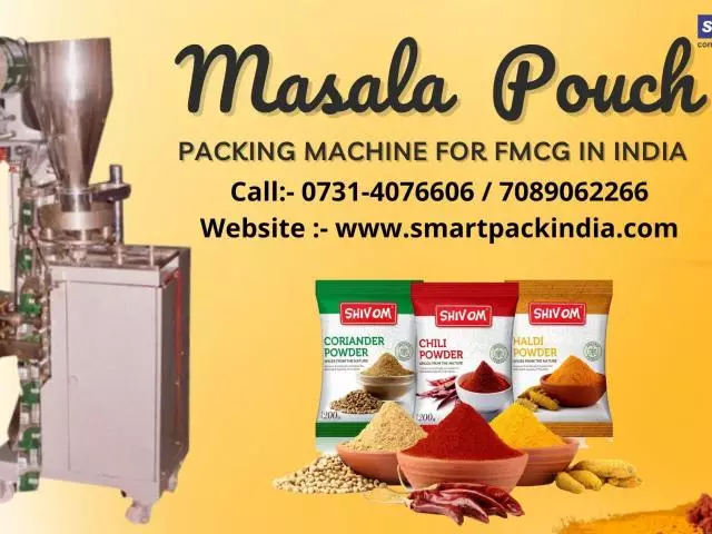 Masala Pouch Packaging Machine in India - 1