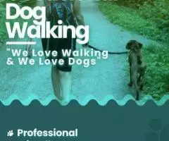 Dog walking services Ahmedabad - Image 2