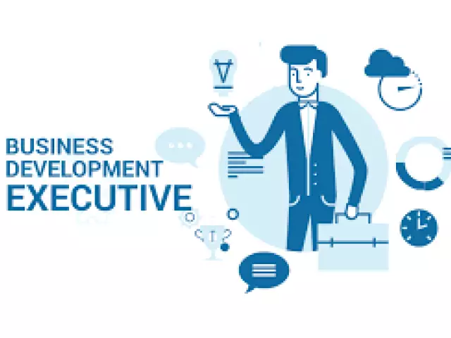 Business Development Executive - 1