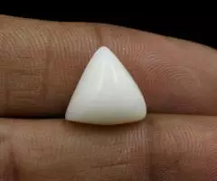 Buy Original White Coral gemstone Online from RashiRatanBhagya - Image 2