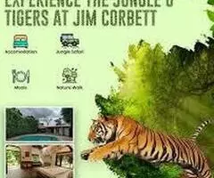 Corbett National  Park Package 2 Nights 3 Days - Image 1