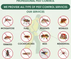Pest Control Management - Image 2