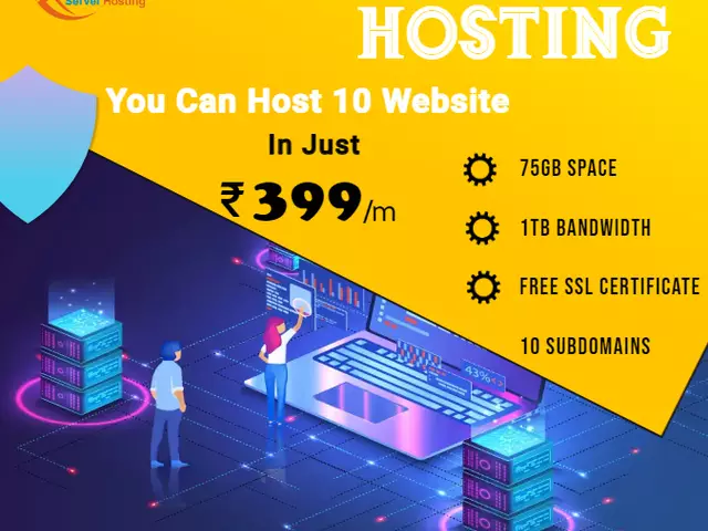 Dserver: Your One-Stop Solution for the Best Shared Hosting in India - 1