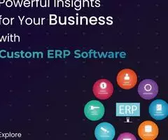 Custom erp software development - Image 1