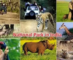 Corbett National  Park Package 2 Nights 3 Days INR:6900/- - Image 2